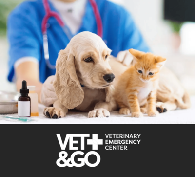 VET&GO